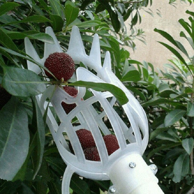 이미지 대체 텍스트
