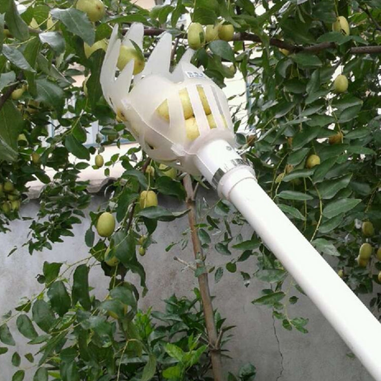 이미지 대체 텍스트