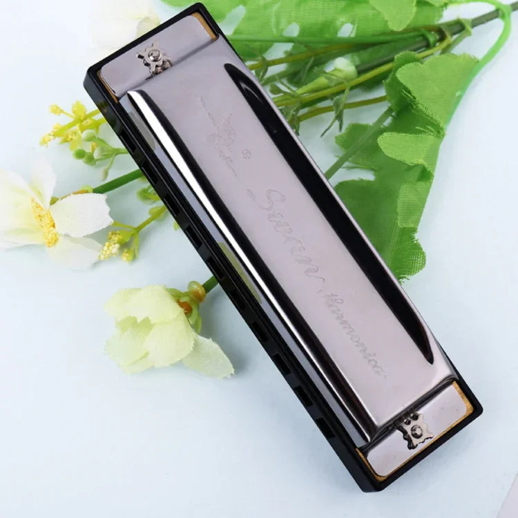 스완 2개 세트 10홀 풀스케일 브루스 하모니카 초보자 어린이 성인 학생용 악기, 스완 10홀 브루스 하모니카