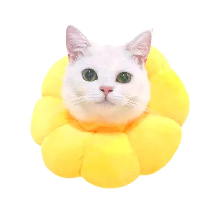 이미지 대체 텍스트