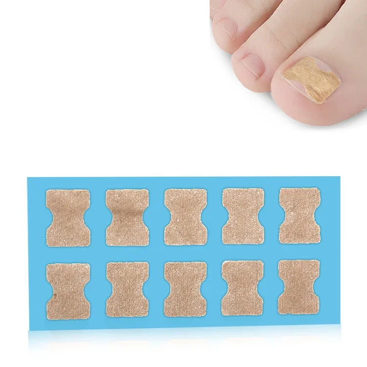 이미지 대체 텍스트