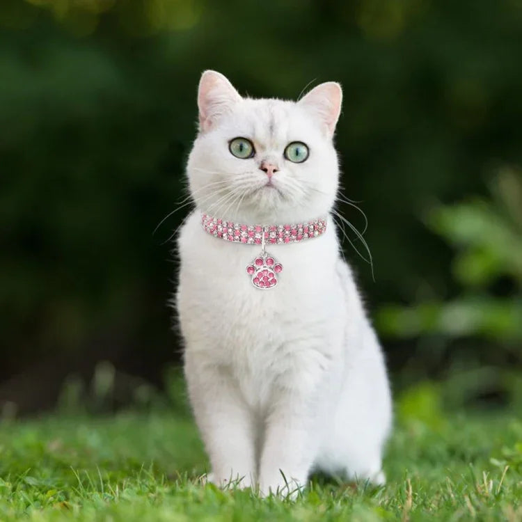 애완동물 목걸이 다이아몬드 탄력 고양이 및 개 목걸이 쥬얼리, S, M, L