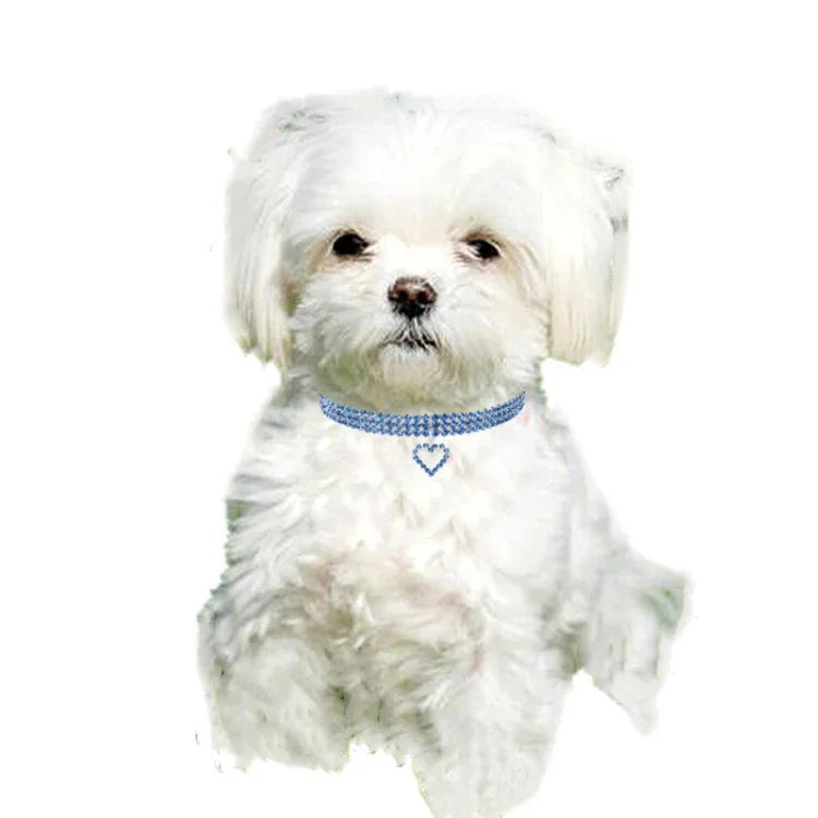 애완동물 용품 탄력 사랑 고양이 및 개 액세서리 애완동물 목걸이, S, M, L
