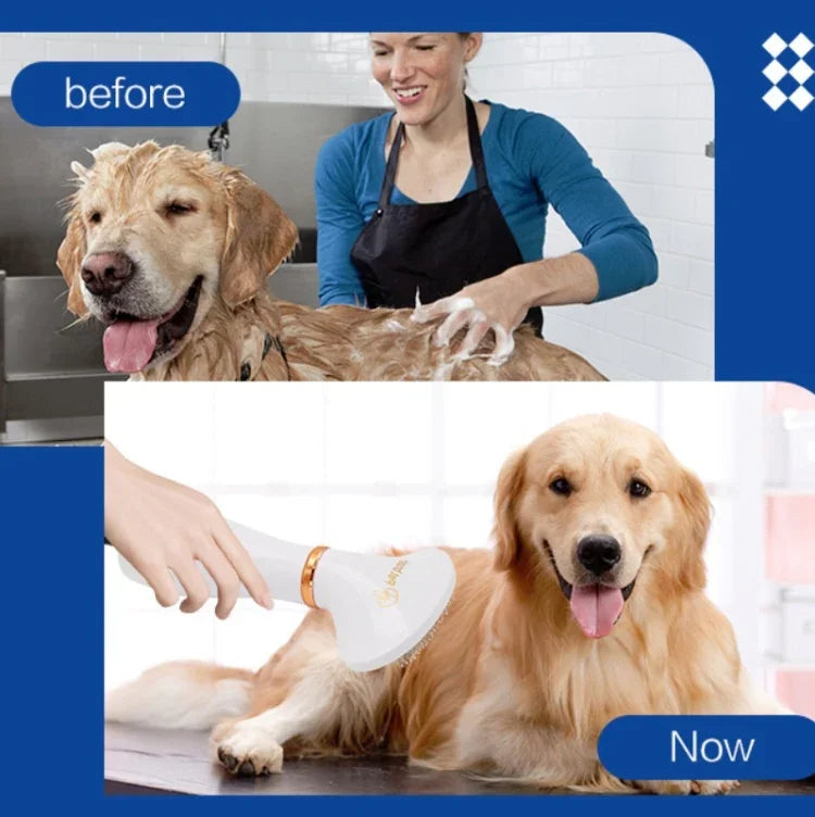 반려동물 헤어 드라이어 고양이 & 강아지 청소 전기 빗, US 플러그, UK 플러그
