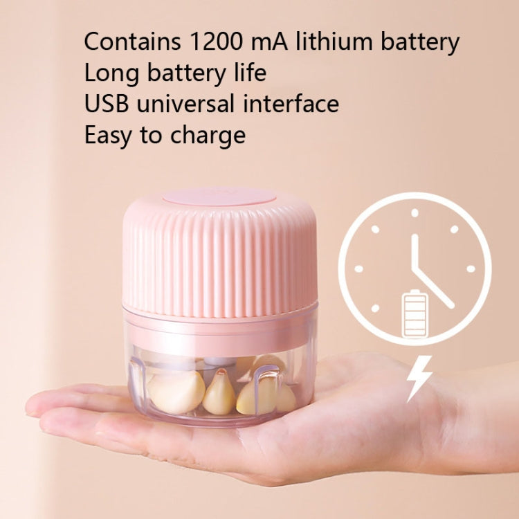 가정용 야채 절단 전기 USB 마늘 으깨기 미니 요리기 아기 이유식 보조기, 250ml, 100ml + 250ml, 100ml