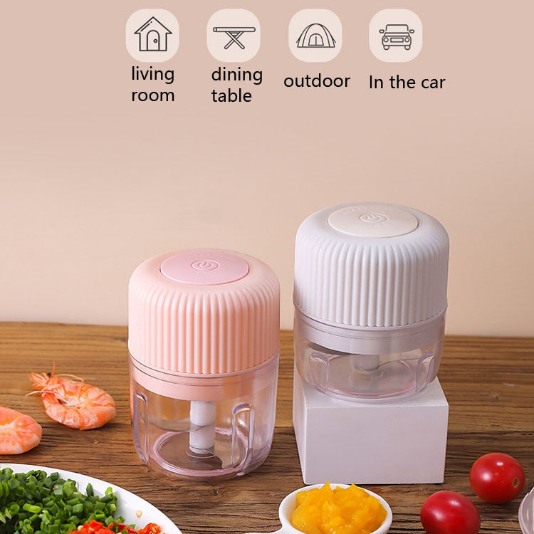 가정용 야채 절단 전기 USB 마늘 으깨기 미니 요리기 아기 이유식 보조기, 250ml, 100ml + 250ml, 100ml