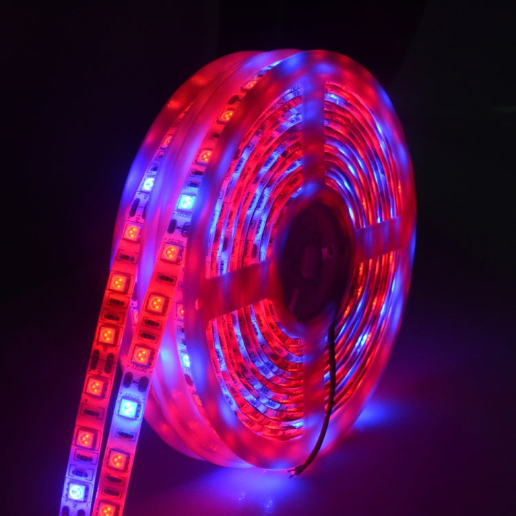 5m 300 LEDs SMD 5050 풀 스펙트럼 LED 스트립 라이트 Fitolampy 온실 수경 재배 식물용 성장등, 방수