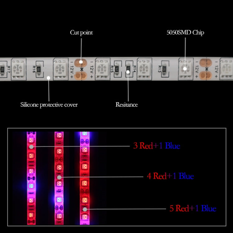 5m 300 LEDs SMD 5050 Full Spectrum LED Strip Light Fitolampy Grow Lights for Greenhouse Hydroponic Plant, Waterproof