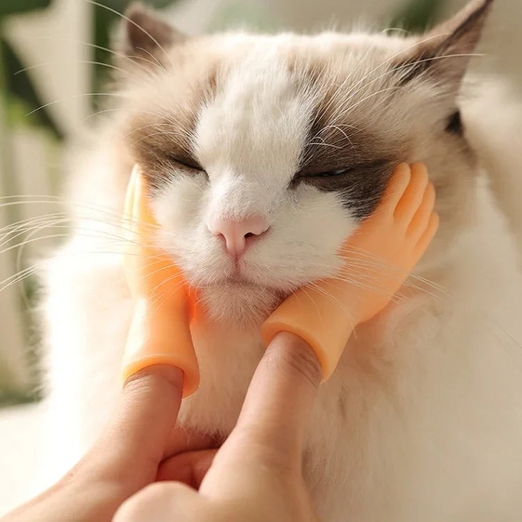 반려동물 마사지 손가락 장갑 및 고양이 장갑, 마사지 손가락