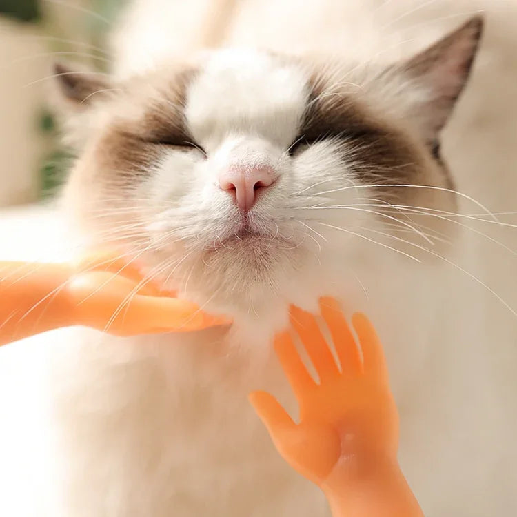 반려동물 마사지 손가락 장갑 및 고양이 장갑, 마사지 손가락