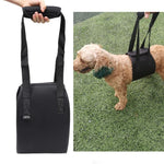 HCPET F1905 장애견 보조 벨트 노령견 산책 보조 목줄 애완동물 용품, S, M, L
