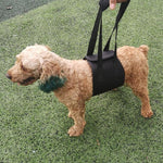 HCPET F1905 장애견 보조 벨트 노령견 산책 보조 목줄 애완동물 용품, S, M, L