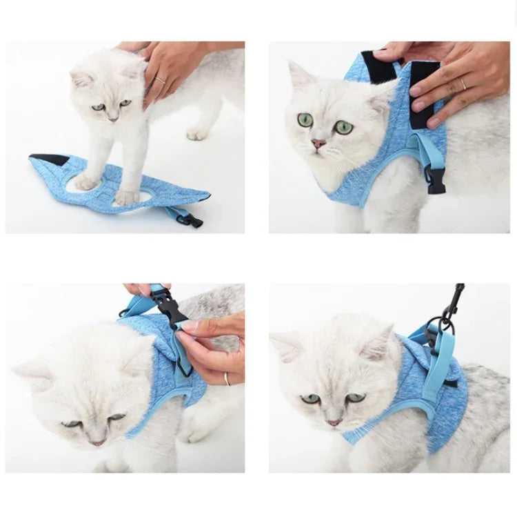 Cat Leash Pet Chest Harness Leash, S