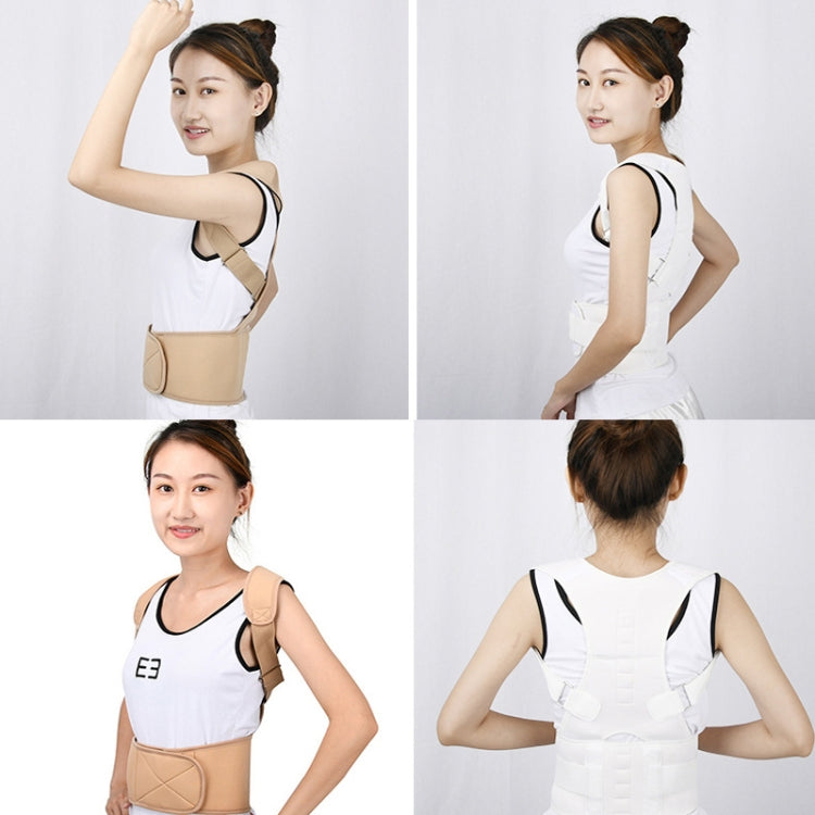 성인 등 자세 교정 벨트 척추 후만증 교정 체형 고정 벨트, S, M, L, XL, XXL