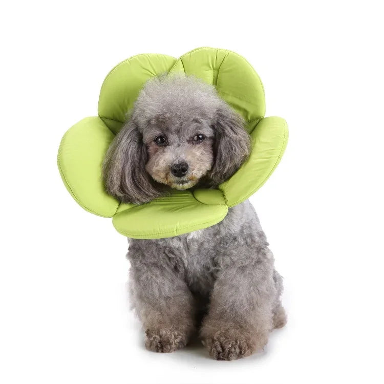 애완동물 보호 목걸이 강아지 꽃 보호 목걸이, S, M, L