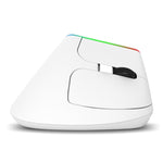 DELUX M618C 6키 1600 DPI RGB 수직 무선 블루투스 듀얼 모드 마우스, M618C(화이트), M618C(블랙)