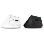 DELUX M618C 6키 1600 DPI RGB 수직 무선 블루투스 듀얼 모드 마우스, M618C(화이트), M618C(블랙)