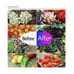 Ultra-Thin LED Plant Light, Full Spectrum COB Growth Light, Vegetable, Fruit & Flower Greenhouse Fill Light With Plug, 50W UK Plug, 150W UK Plug, 50W US Plug, 150W US Plug, 50W EU Plug, 150W EU Plug, 50W AU Plug, 150W AU Plug