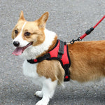 K9 Dog Adjustable Chest Strap, Size:, XS, S, M