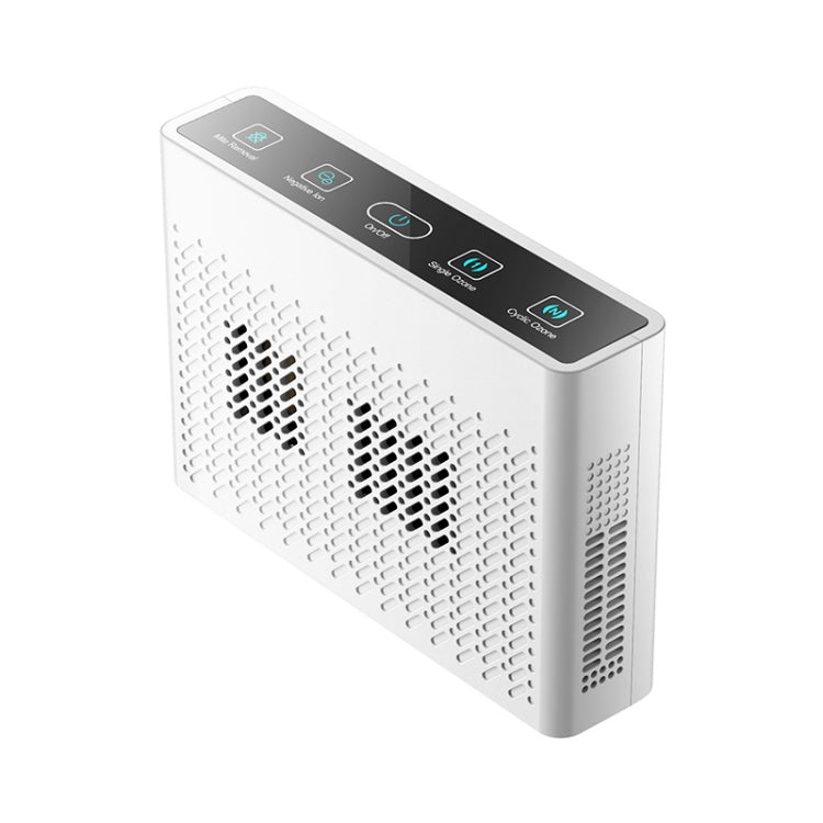 XDCM06 차량용 음이온 공기 청정기, XDCM06