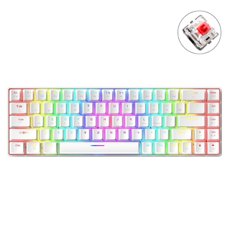 ZIYOU LANG T8 68키 RGB 발광 게이밍 기계식 키보드, 케이블 길이:1.6m, T8 블랙 그린 축, T8 블랙 티 축, T8 화이트 그린 축, T8 화이트 레드 축, T8 블루 그린 축, T8 핑크 그린 축