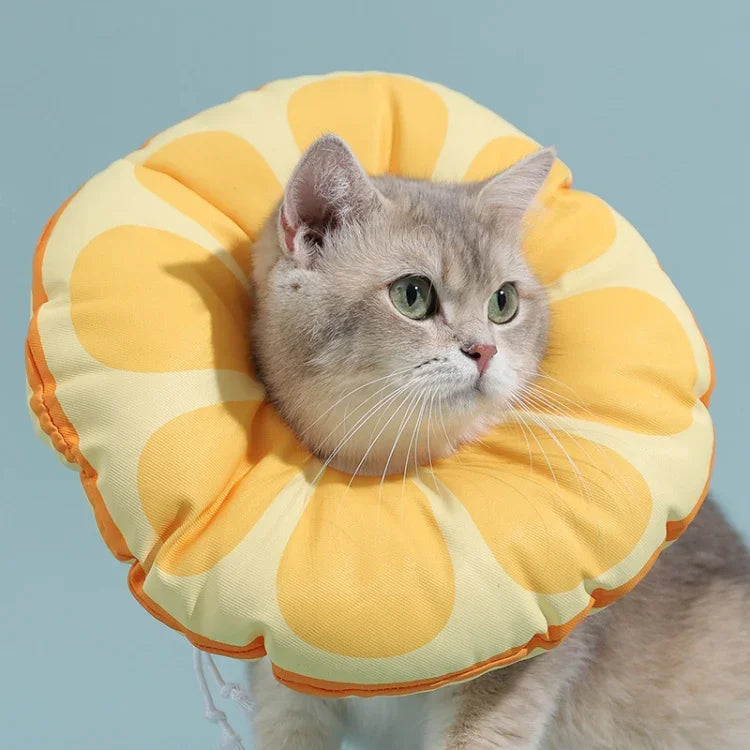 고양이 엘리자베스 칼라 새끼 고양이 핥기 방지 목걸이 머리 덮개, 사이즈:, S, M, L