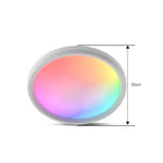 WiFi 블루투스 2.4G 리모컨 LED 천장등, 전압:, EU 표준 220V-240V, 미국 표준 110V-130V