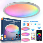 WiFi 블루투스 2.4G 리모컨 LED 천장등, 전압:, EU 표준 220V-240V, 미국 표준 110V-130V