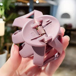 10 PCS Frosted Ladies Coiffure Hair Grab Hair Clip