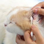 2상자 반려동물 면봉 고양이 강아지 귀 청소 용품, 반려동물 면봉