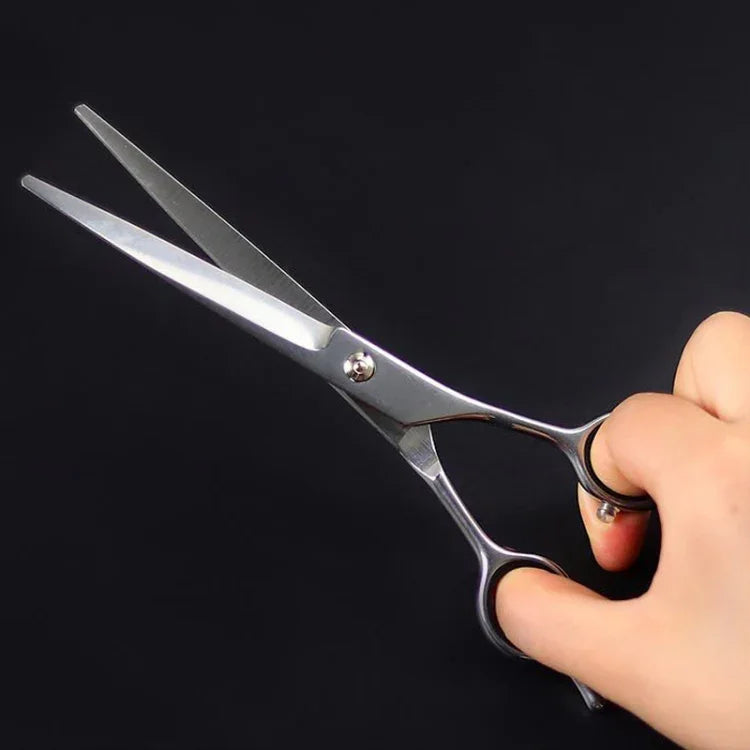이미지 대체 텍스트