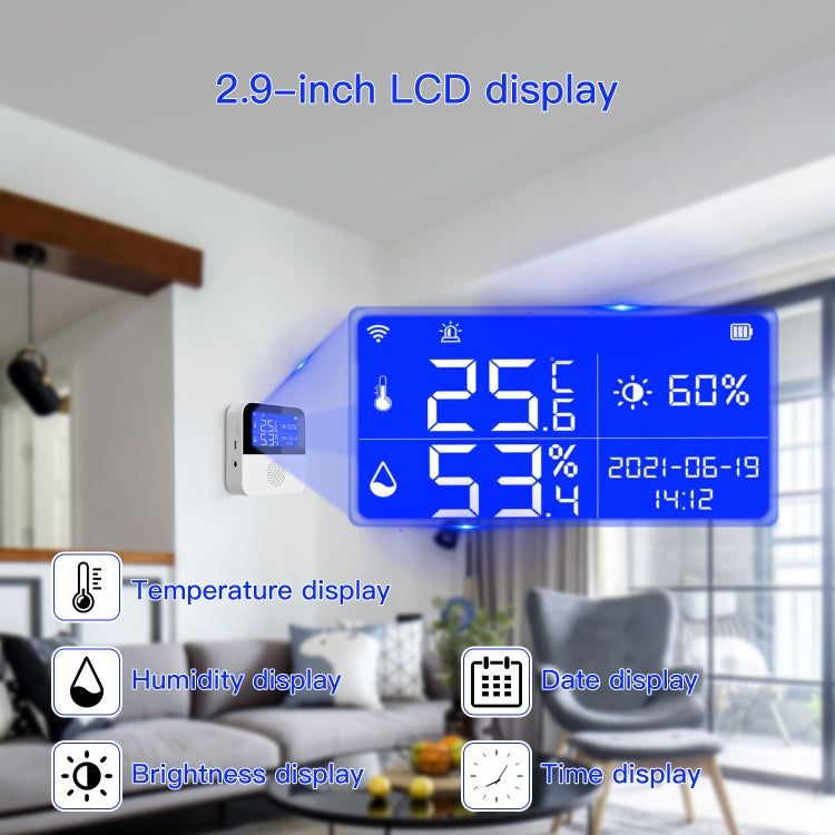 Tuya WIFI 온습도 센서 2.9인치 LCD 디스플레이 포함, 사양: 센서만, 감지선 포함