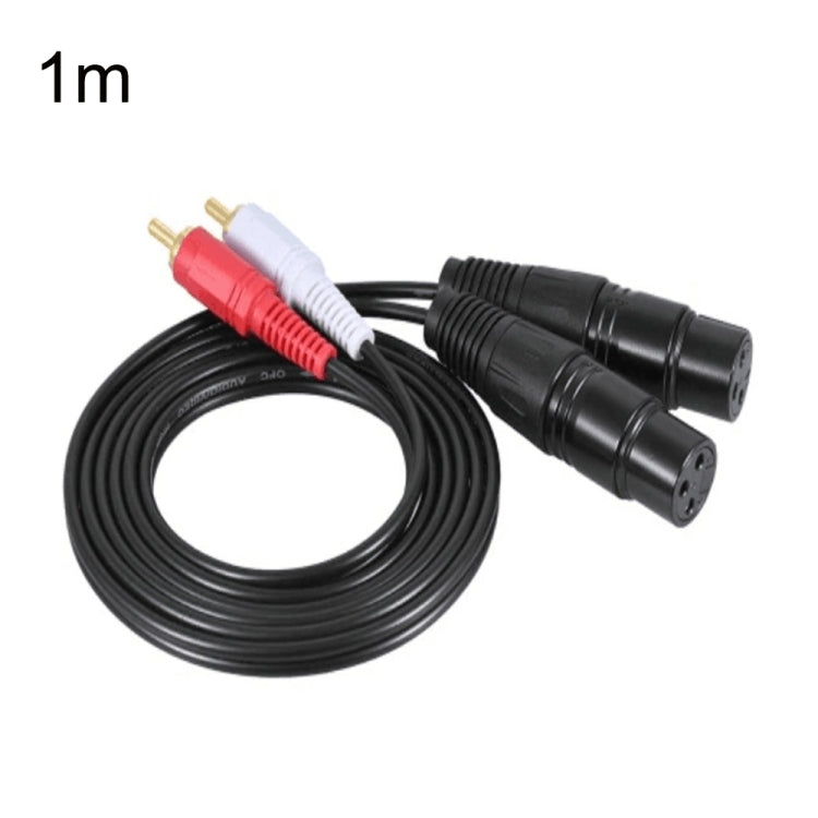 2RCA to 2XLR 스피커 캐논 케이블 오디오 밸런스 케이블, 0.5m, 1m, 1.5m, 3m