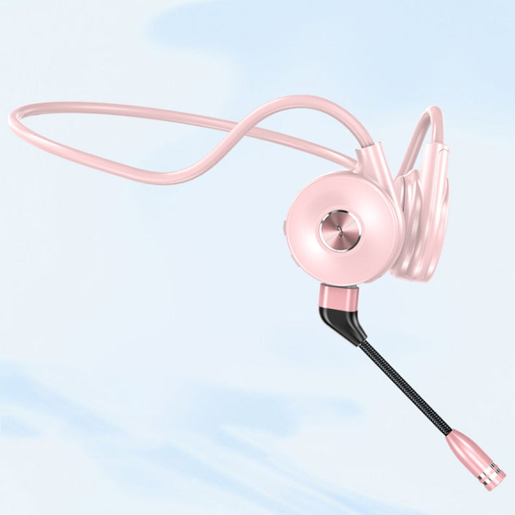 이미지 대체 텍스트