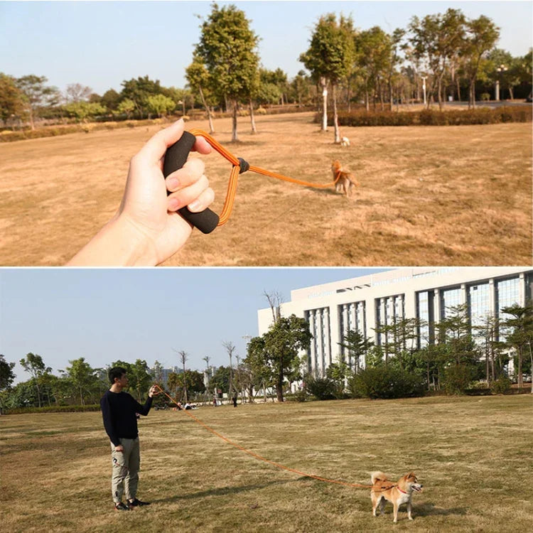 Sh36 암벽 등반 로프 애완동물 목줄 대담하고 긴 강아지 훈련 추적 로프, 1.5m, 2m, 5m, 10m, 3m