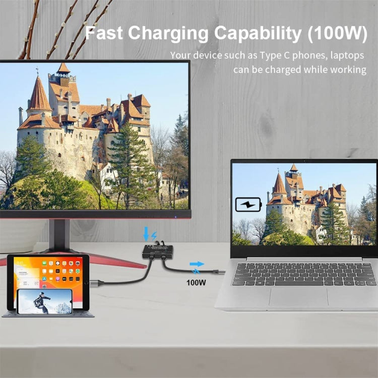8K30 타입-C / USB-C 양방향 스위치 10Gbps HD 분배기, KC-C201, C201 단일 기기