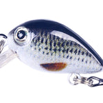HENGJIA 2.5cm 1.5g 부유 수중 작은 뚱뚱한 미세 물체 미니 3D 프린팅 루어 미끼