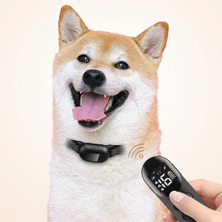 스마트 방수 충격 목걸이 반려동물 원격 제어 개 훈련기, 1마리용, 2마리용