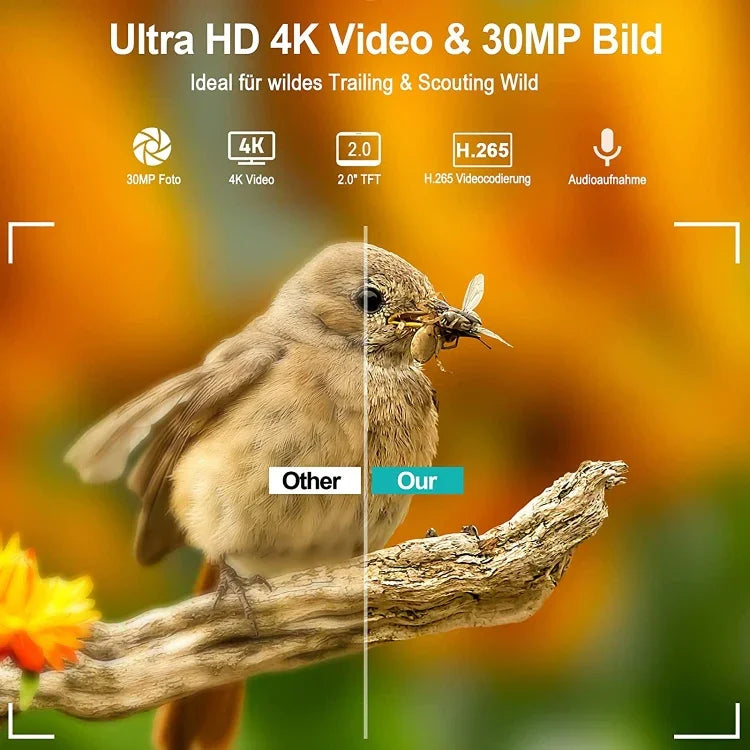 36MP 4K 4G 사냥 카메라 APP 원격 휴대폰 제어로 언제든지 사진/비디오 보기, HC-900Pro