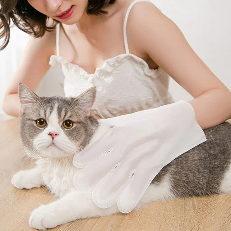 KIMHOME 반려동물 물 없이 씻는 장갑 물티슈 강아지 고양이 목욕 탈취 청소 건식 청소 용품, 6개입/팩