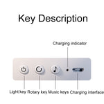 Rotatable Cartoon Atmosphere Projection Lamp Music Night Light, Plug-in Model, Music Box Remote Model, Bluetooth Remote Model