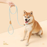 중대형견용 견인 로프 범용 안전 버클 체인 원형, 1.5m x 0.6cm, 1.5m x 0.8cm, 1.5m x 1cm, 1.8m x 0.6cm, 1.8m x 0.8cm, 1.8m x 1cm