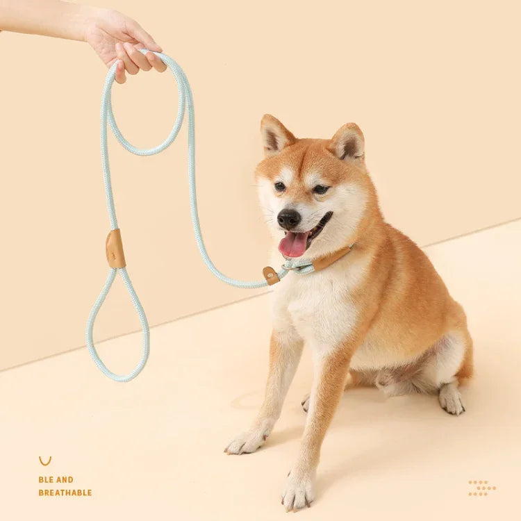 중대형견용 견인 로프 범용 안전 버클 체인 원형, 1.5m x 0.6cm, 1.5m x 0.8cm, 1.5m x 1cm, 1.8m x 0.6cm, 1.8m x 0.8cm, 1.8m x 1cm