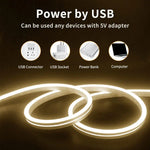 LIXINCORDA 2m 5V USB 터치 컨트롤 LED 라이트 스트립 유연한 네온 실리콘 소프트 스트립, USB 터치 컨트롤 (핑크), USB 터치 컨트롤 (웜 화이트), USB 터치 컨트롤 (파란색)