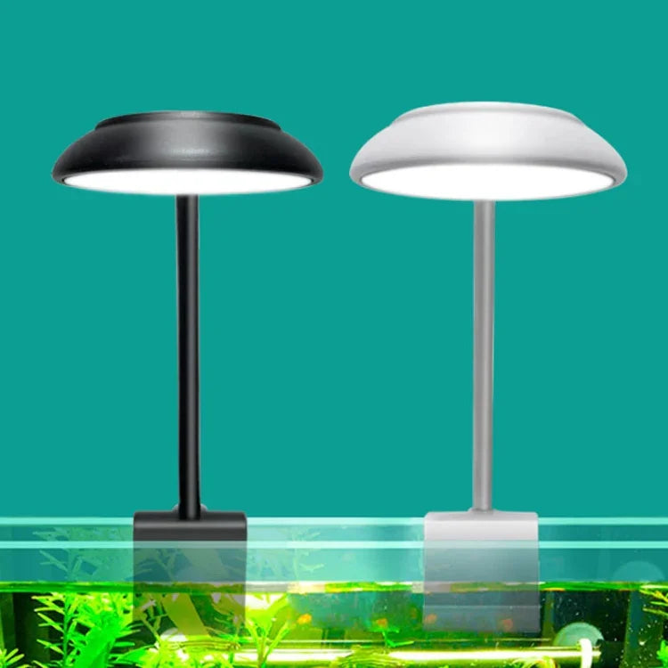 이미지 대체 텍스트