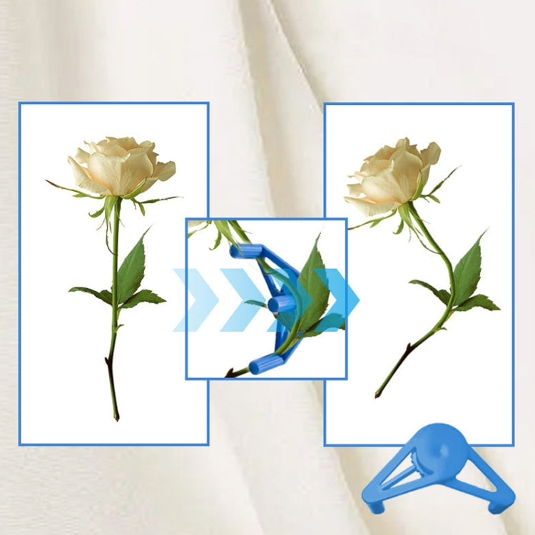 이미지 대체 텍스트