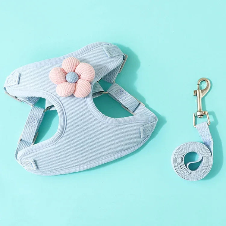 이미지 대체 텍스트