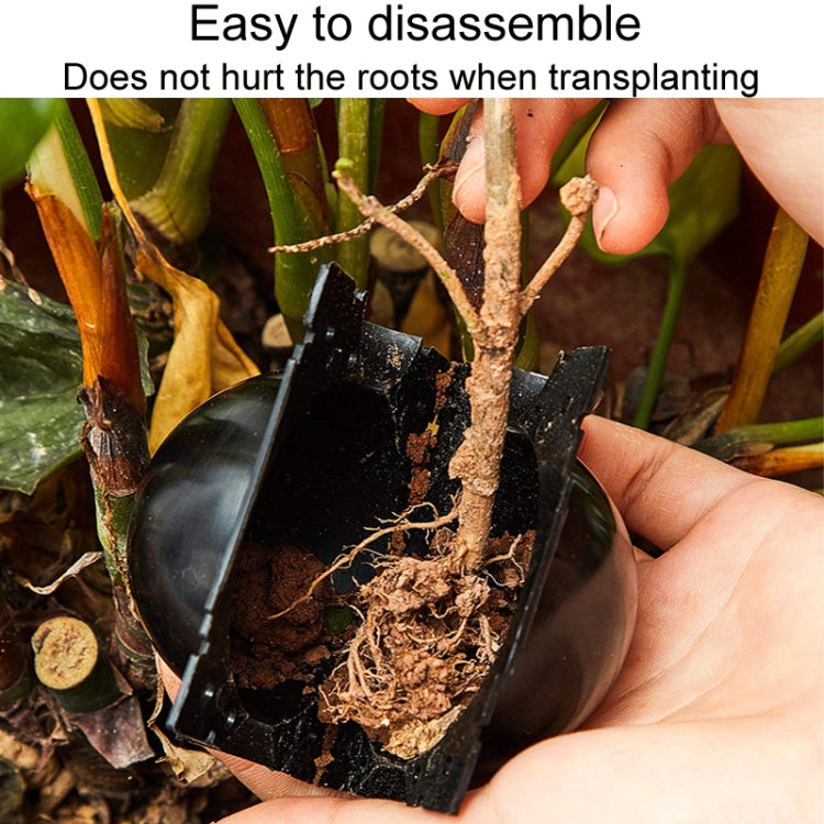 2pcs Plants Growth High Pressure Box Spherical Root Controller Grafting Root Cases, S Black 50mm, M Black 80mm, L Black 120mm, S Green 50mm, M Green 80mm, L Green 120mm, S Transparent 50mm, M Transparent 80mm, L Transparent 120mm