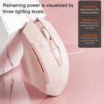 Inphic F8 2.4G 무선 무음 충전 컴퓨터 게이밍 마우스, F8