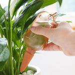 Gardening Irrigation Seepage Household Plants Potting Bird Automatic Waterer
